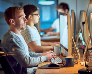 Office workers sitting at their computers